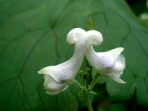 浙江成考高分作文写作技巧分享(图1) 浙江成考高分作文写作技巧分享(图1)