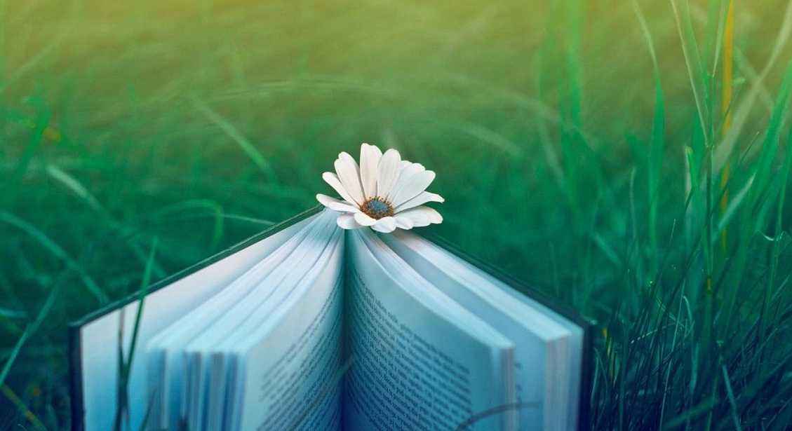 函授本科最快多久能毕业?(图1) 函授本科最快多久能毕业?