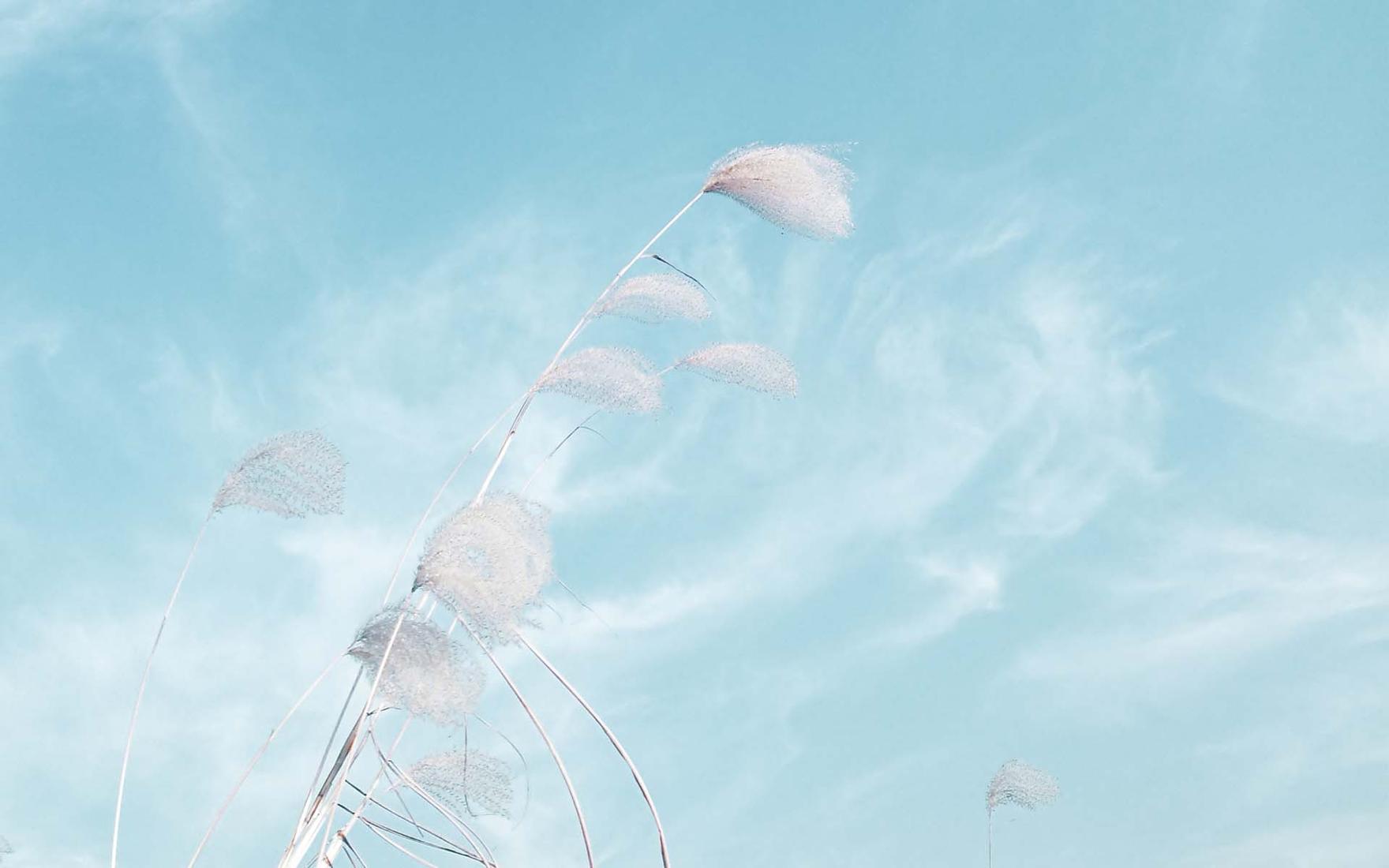 浙江成考专科药学专业可以考执业药师吗?(图1) 浙江成考专科药学专业可以考执业药师吗?