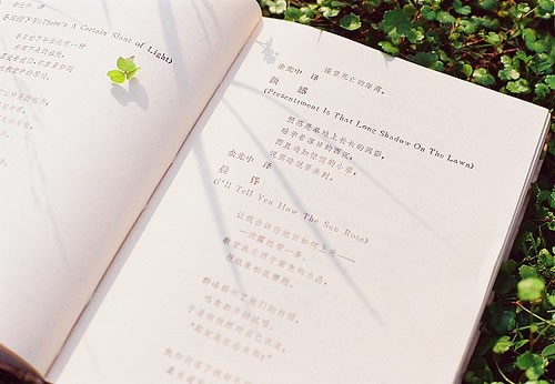 2020年浙江成人高考考试时间在什么时候?(图1) 2020年浙江成人高考考试时间在什么时候?