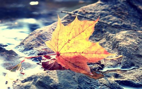 报考浙江成考有年龄限制吗?(图1) 报考浙江成考有年龄限制吗?