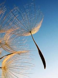 浙江成人高考本科文凭可以报考公务员吗?(图1) 浙江成人高考本科文凭可以报考公务员吗?