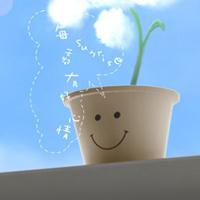 2020年杭州成考专升本报名时间是什么时候?(图1) 2020年杭州成考专升本报名时间是什么时候?(图1)