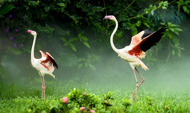 杭州成人高考上课形式是怎么样的?(图1) 杭州成人高考上课形式是怎么样的?(图1)