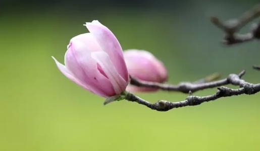 浙江成考脱产学习方式的是属于全日制吗?(图1) 浙江成考脱产学习方式的是属于全日制吗?