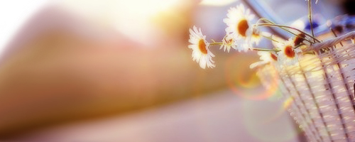 浙江成人高考录取之后还能换其他的专业就读吗?(图1) 浙江成人高考录取之后还能换其他的专业就读吗?