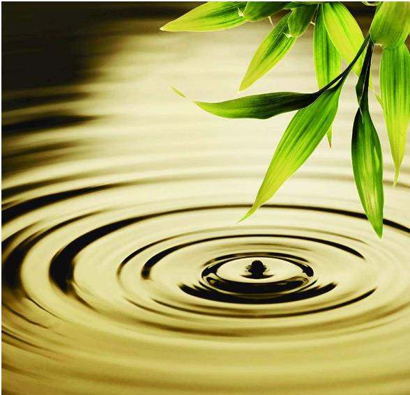 安顺学院成考函授(业余)新生什么时间开学?怎样组织教学?(图1) 安顺学院成考函授(业余)新生什么时间开学?怎样组织教学?(图1)