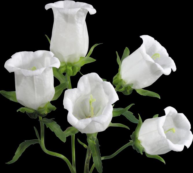 浙江成考函授专升本需要读几年?(图1) 浙江成考函授专升本需要读几年?