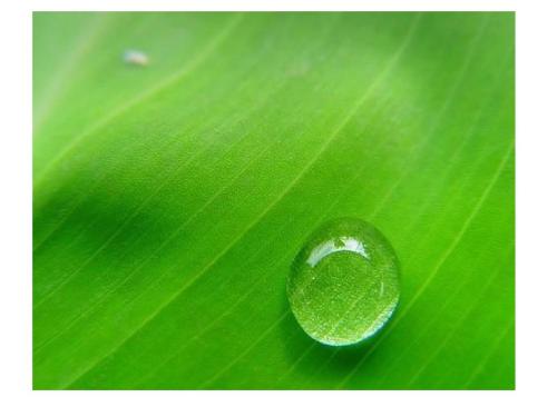 浙江函授大专可以考教师资格证吗(图1) 浙江函授大专可以考教师资格证吗