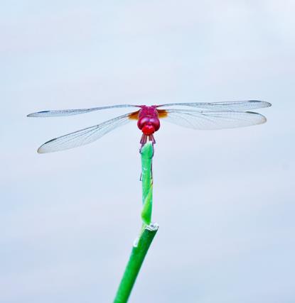 浙江函授大专跟普通大专有什么区别?(图1) 浙江函授大专跟普通大专有什么区别?