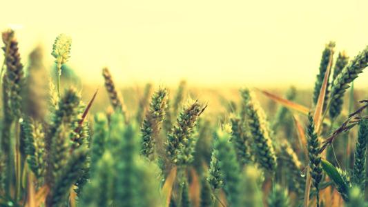 浙江成人高考有什么学校可以报考?(图1) 浙江成人高考有什么学校可以报考?