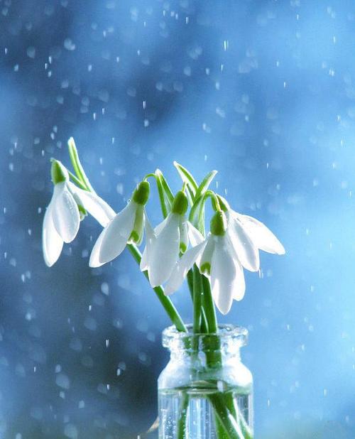 浙江成人高考考试生和免试生有什么区别?(图1) 浙江成人高考考试生和免试生有什么区别?(图1)