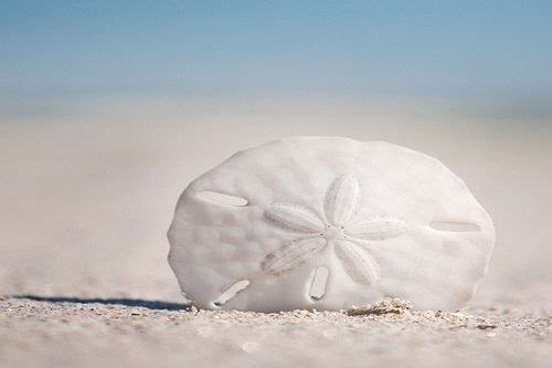 异地考生可以报杭州成人高考吗?(图1) 异地考生可以报杭州成人高考吗?