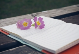 函授大专毕业学历国家认可吗?(图1) 函授大专毕业学历国家认可吗?