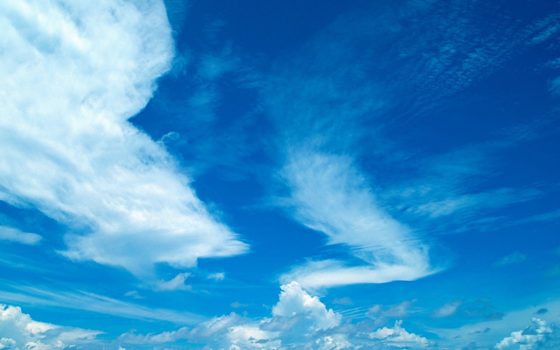 退役士兵就读成人高考有哪些优惠政策?(图1) 退役士兵就读成人高考有哪些优惠政策?