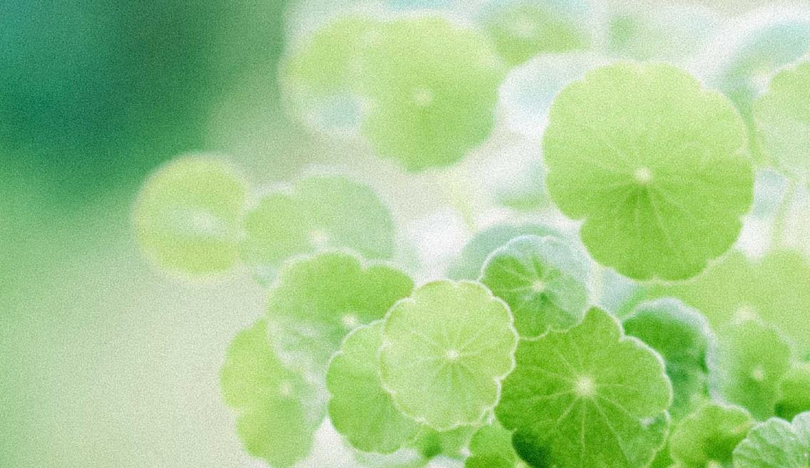 浙江杭州成人高考一般几月拿毕业证?(图1) 浙江杭州成人高考一般几月拿毕业证?