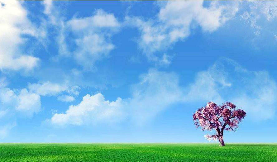 杭州成人高考高升本要读几年?(图1) 杭州成人高考高升本要读几年?(图1)