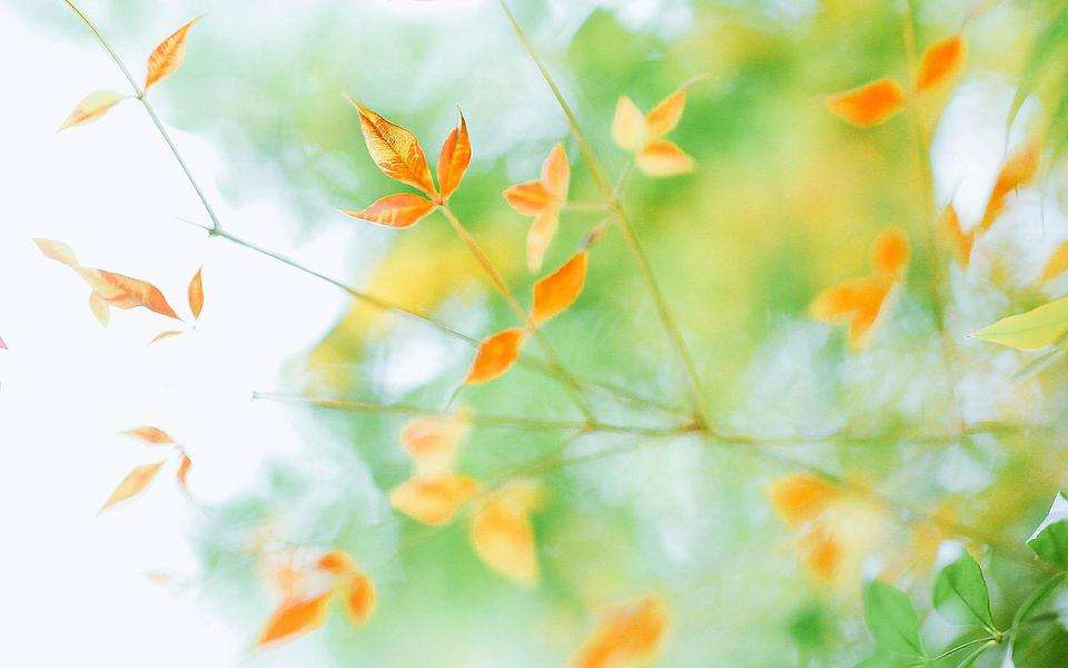 外省户籍可以报浙江成人高考吗?(图1) 外省户籍可以报浙江成人高考吗?(图1)