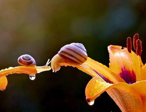 杭州成人高考选择业余学习方式必须去上课吗?(图1) 杭州成人高考选择业余学习方式必须去上课吗?