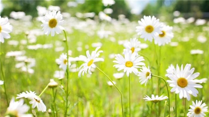 杭州函授大专跟普通大专有什么区别?(图1) 杭州函授大专跟普通大专有什么区别?(图1)