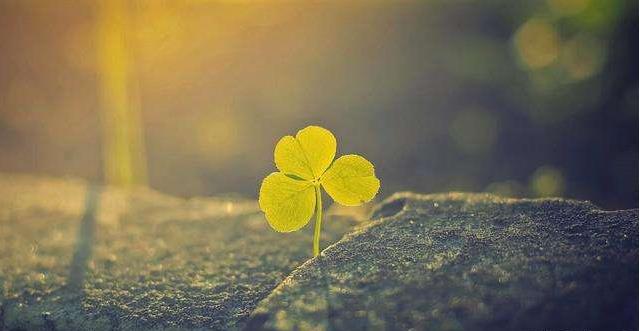 学历低是花时间提升学历好还是学习技术好?(图1) 学历低是花时间提升学历好还是学习技术好?