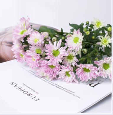 浙江成考语文题型是怎么样?(图1) 浙江成考语文题型是怎么样?