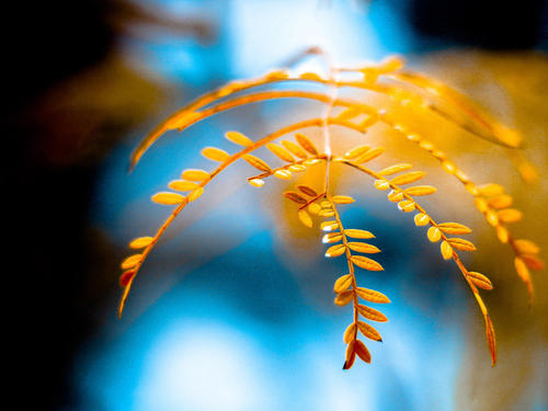 2021年浙江成人高考“高起专”英语大纲解析(图1) 2021年浙江成人高考“高起专”英语大纲解析