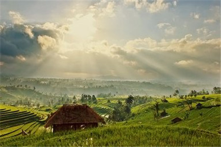 浙江成人高考中可以找人替考吗?