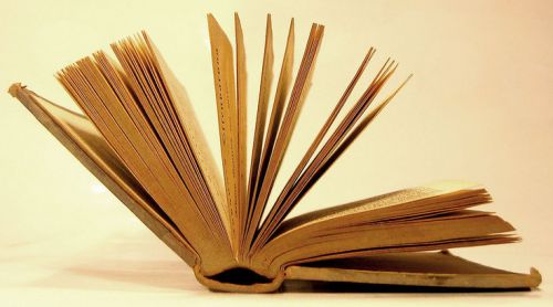 2014年成人高考高中起点语文成语复习(二)(图1) 2014年成人高考高中起点语文成语复习(二)