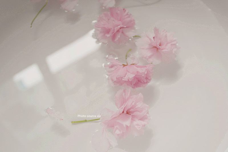 浙江成考学历有用吗?成考学历含金量高不高?(图1) 浙江成考学历有用吗?成考学历含金量高不高?(图1)