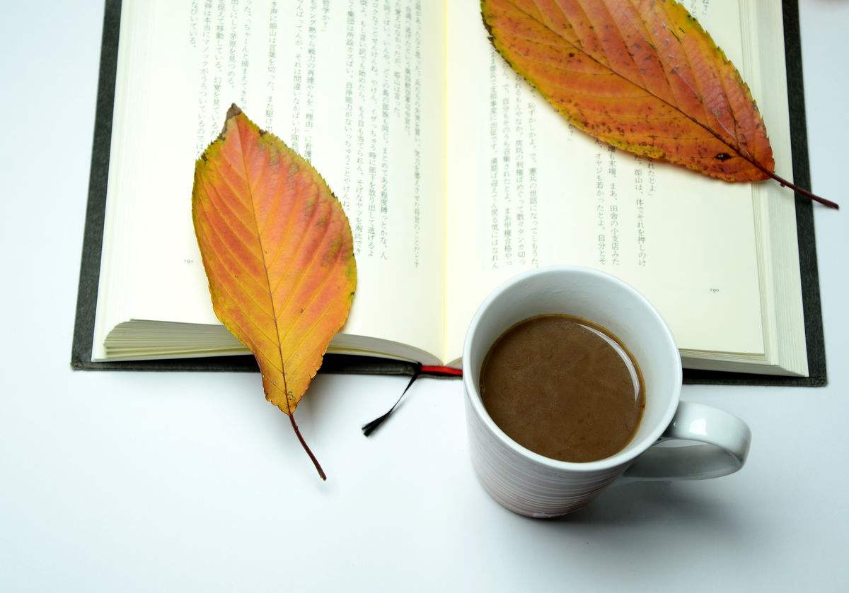 2020年浙江成考院校和专业志愿如何选择？(图1)